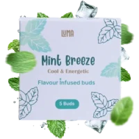 Mint Breeze